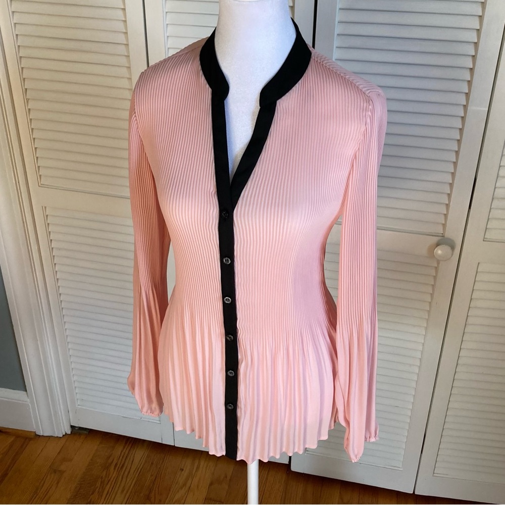 Pleated Sheer Button-Up long sleeved Blouse - Picture 3 of 8